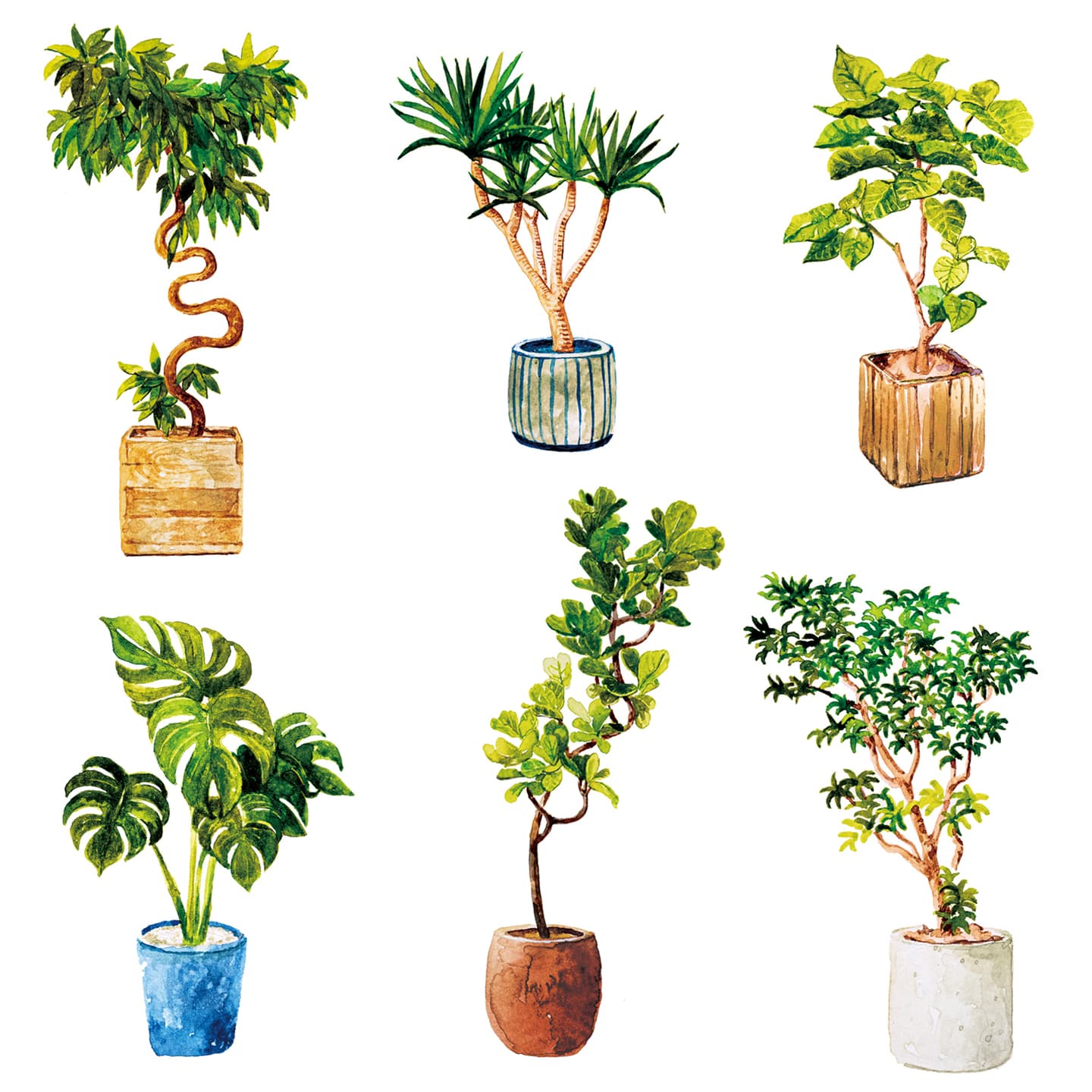 Safari metime☕️✨